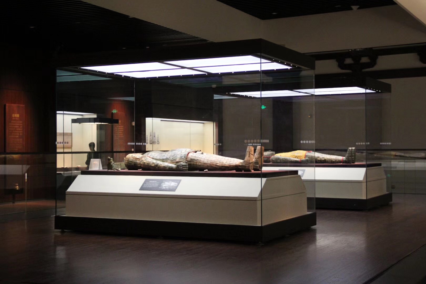 博物館展柜案例